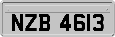 NZB4613