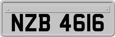 NZB4616