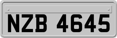 NZB4645