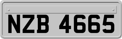 NZB4665