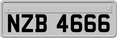 NZB4666