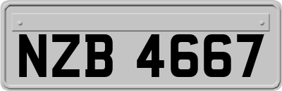 NZB4667