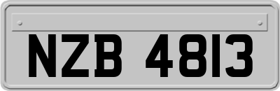 NZB4813