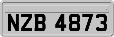 NZB4873