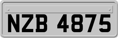 NZB4875