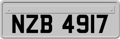 NZB4917
