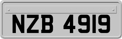 NZB4919