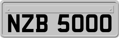 NZB5000
