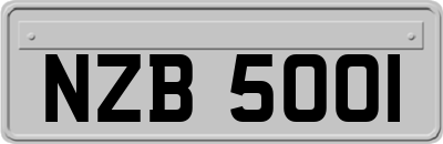 NZB5001