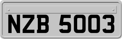 NZB5003