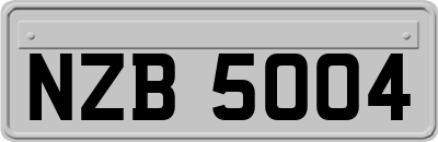NZB5004