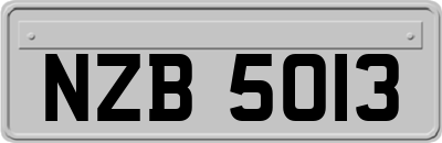 NZB5013