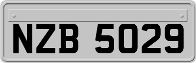 NZB5029