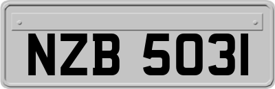 NZB5031