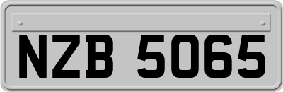NZB5065