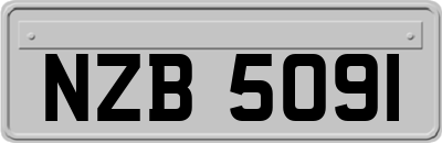 NZB5091