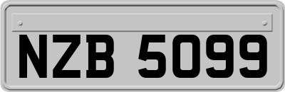 NZB5099