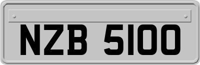 NZB5100