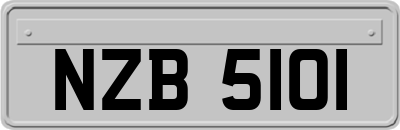 NZB5101
