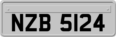 NZB5124