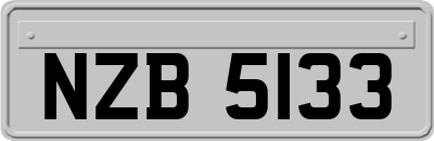 NZB5133