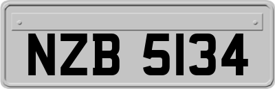 NZB5134