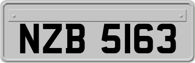 NZB5163