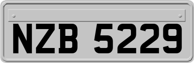 NZB5229
