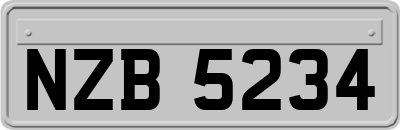 NZB5234