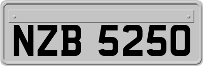 NZB5250
