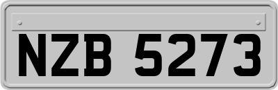 NZB5273