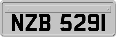 NZB5291