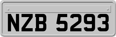 NZB5293