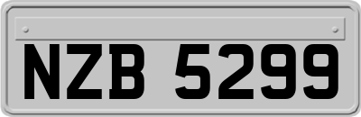 NZB5299