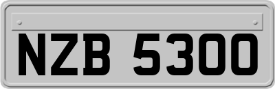 NZB5300