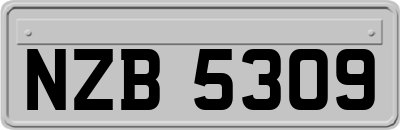 NZB5309