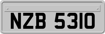 NZB5310