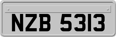 NZB5313