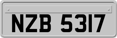 NZB5317