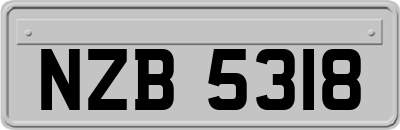 NZB5318