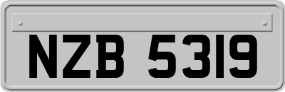 NZB5319