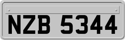 NZB5344