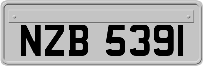 NZB5391