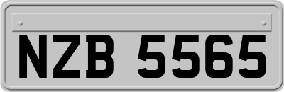 NZB5565