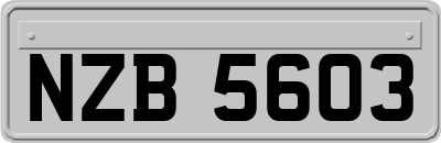 NZB5603
