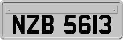 NZB5613