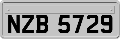 NZB5729