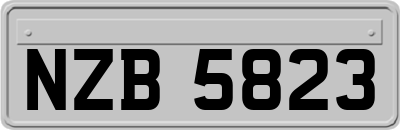 NZB5823