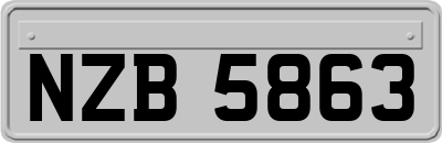 NZB5863