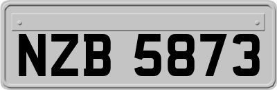 NZB5873